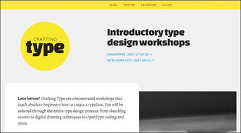 扁平化風(fēng)格的網(wǎng)頁(yè)設(shè)計(jì)案例欣賞 軟件開(kāi)發(fā)視角